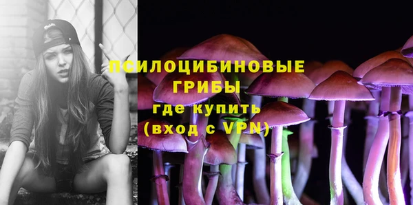 герыч Алзамай