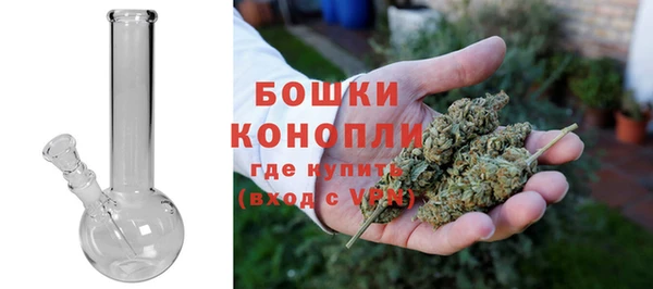 PSILOCYBIN Саяногорск