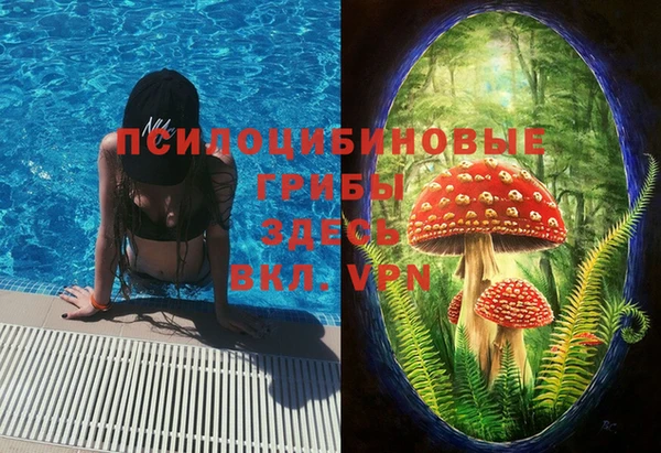 метадон Алексеевка