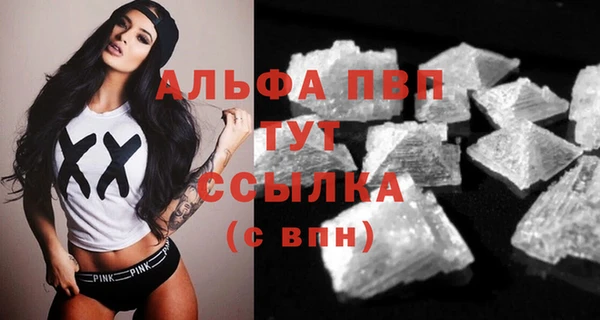 стаф Алексин