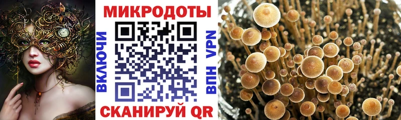 закладка  MEGA ссылка  Галлюциногенные грибы MAGIC MUSHROOMS  Лабинск 