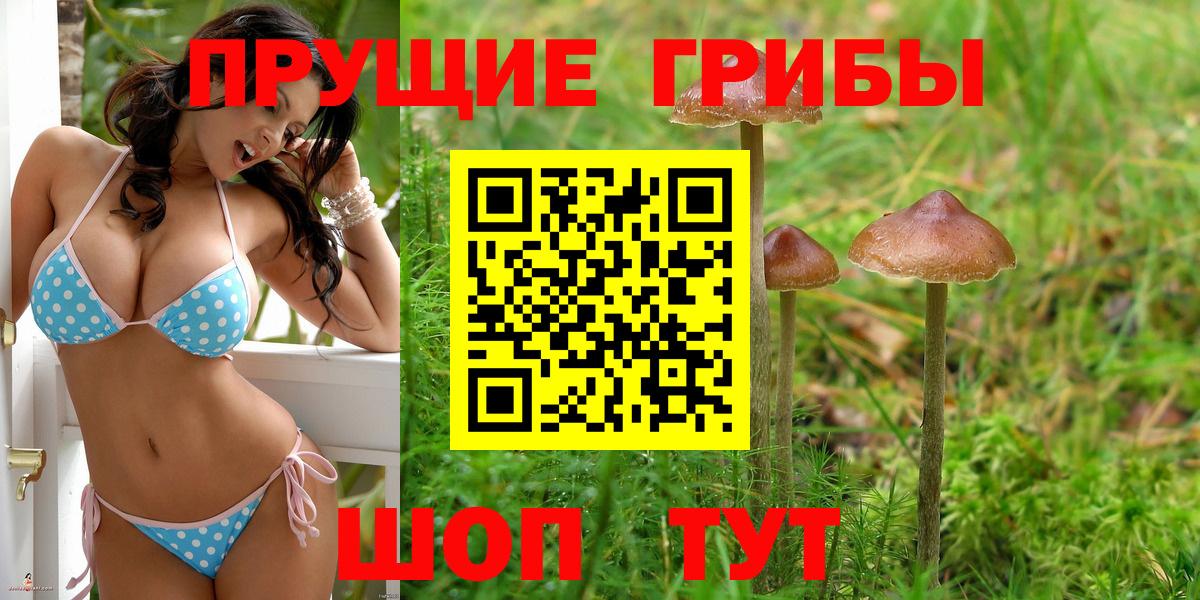 купить наркотики цена  Галлюциногенные грибы MAGIC MUSHROOMS  Вход с VPN  Лабинск 